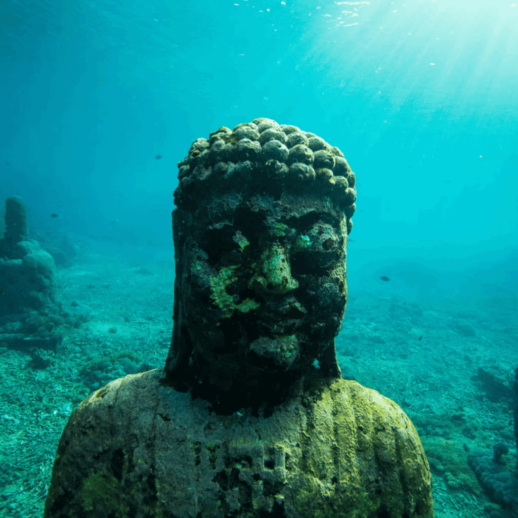 L’importance de la voyance dans notre vie quotidienne