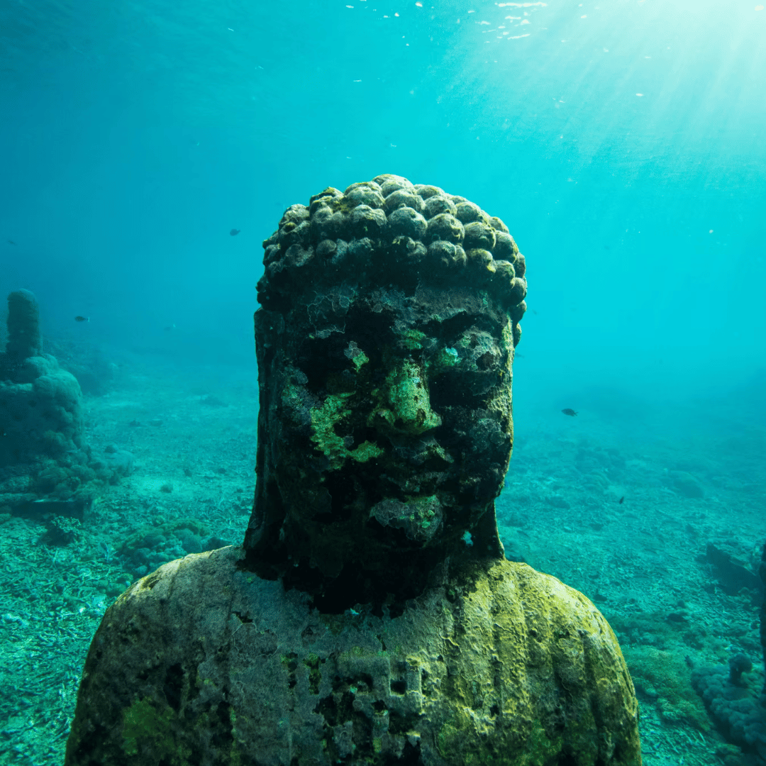 Lire la suite à propos de l’article L’Importance de la Voyance dans notre Vie Quotidienne